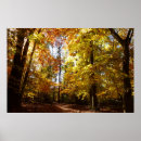 Search for fall scene posters Landscape
