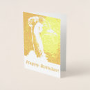 Search for cool birds cards Nature