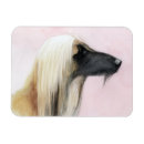 Search for 5x7 magnets Pet