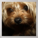 Search for yorky posters Portrait