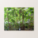 Search for grow puzzles Green