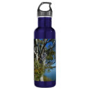 Search for koala water bottles Wildlife