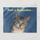 Search for tough postcards Animals