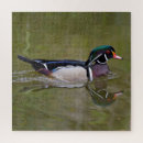 Search for duck puzzles Wildlife