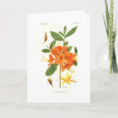 Search for azalea cards Botanical