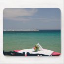 Search for aegean mouse mats Europe