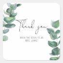 Search for green and white stickers Eucalyptus