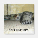 Search for ops magnets Cats