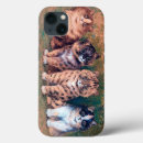 Search for four cats iphone cases Kitten