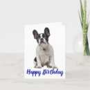 Search for french bulldog puppy cards Puppies