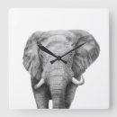 Search for black and white elephant art Animals