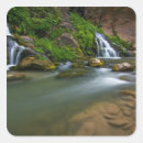 Search for backcountry stickers Nature