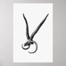 Search for animal skeleton posters Human