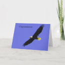 Search for promotion congratulations cards Graduate