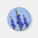 Search for blaue magnets Blue