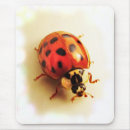 Search for lady bug mouse mats Animals