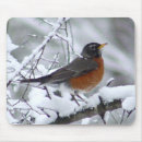Search for american robin electronics Birds
