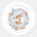 Search for blue christmas stickers Winter berries