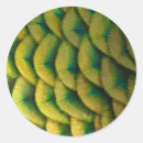 Search for golden feathers stickers Nature
