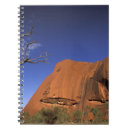 Search for environment notebooks Arid