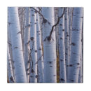 Search for aspen tiles Usa