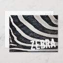 Search for black and white zebra postcards Fur