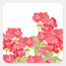 Search for geraniums stickers Plants