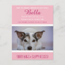 Search for adoption vertical postcards New pet