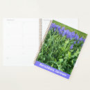 Search for violet photography Green