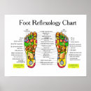 Search for foot massage posters Reflexology