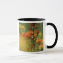 Search for indian paintbrush mugs Green