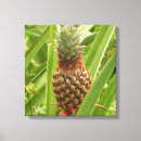 Search for pineapple canvas prints Green