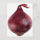 Search for white background postcards Vegetable
