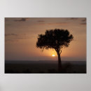Search for non posters Silhouette