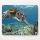 Search for hawaiian mouse mats Beautiful