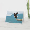 Search for flying eagle cards Freedom