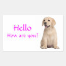 Search for labrador retriever puppy stickers Puppies