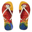 Search for parrot shoes Birds