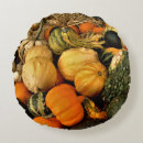 Search for mini cushions Fall