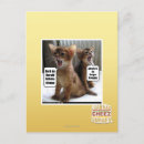 Search for caroll postcards I can has cheezburger