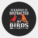 Search for colorful birds stickers Photography