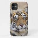Search for bengal tiger iphone cases Asian