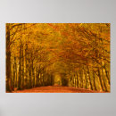 Search for walking path posters Trees