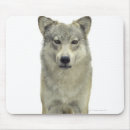 Search for wolf eyes mouse mats Animal