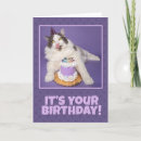 Search for fat cat cards Cute