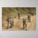 Search for panthera art Young