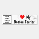 Search for bostons bumper stickers Dog