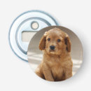 Search for photo bottle openers Dog