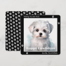 Search for maltese christmas cards Paws