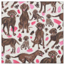 Search for chocolate lab Pets